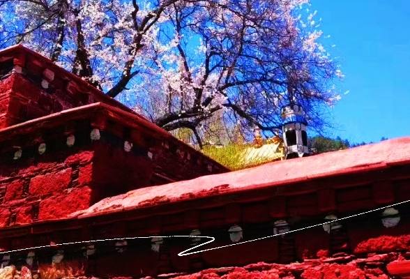 【印象西藏】【2025林芝桃花節】西藏拉薩林芝桃花節雙臥11日，單臥單飛9天，精品西藏桃花季雙臥11日